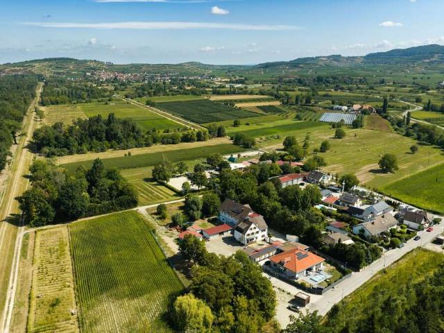 Haus zum Kaufen in Breisach am Rhein 1.620.000,00 EUR 667 m²