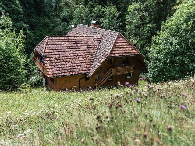 Haus zum Kaufen in Breitnau 775.000,00 EUR 311 m²