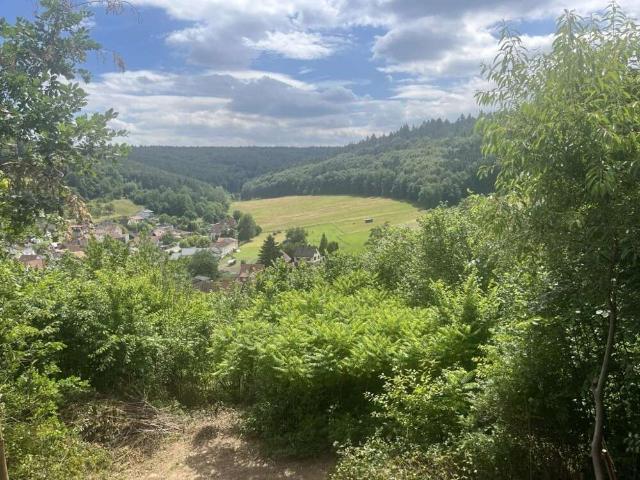 Haus zum Kaufen in Breuberg Wald Amorbach 269.000,00 EUR 117 m²