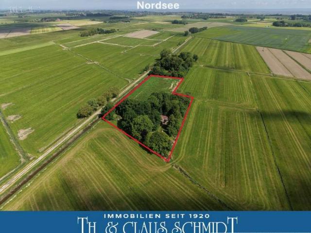 Haus zum Kaufen in Butjadingen 527.000,00 EUR 115 m²