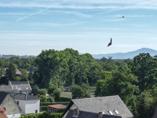 Haus zum Kaufen in Bürstadt Riedrode 495.000,00 EUR 180 m²