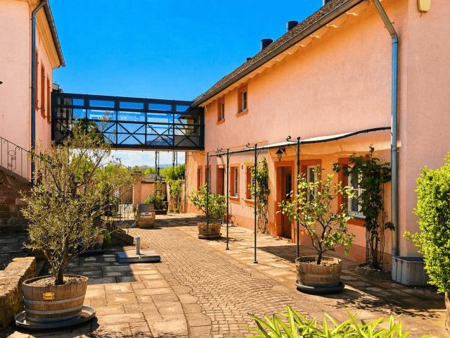 Haus zum Kaufen in Burrweiler 1.250.000,00 EUR 730 m²
