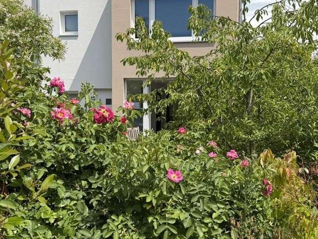 Haus zum Kaufen in Göttingen 690.000,00 EUR 143 m²