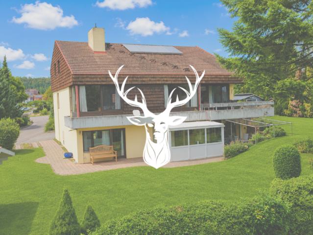 Haus zum Kaufen in Geißlingen 589.000,00 EUR 259 m²