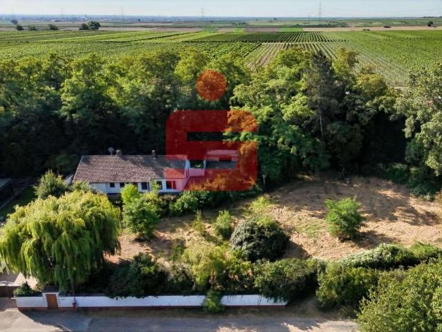 Haus zum Kaufen in Gerolsheim 650.000,00 EUR 111.53 m²
