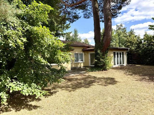 Haus zum Kaufen in Grünheide 349.900,00 EUR 64.85 m²
