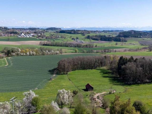 Haus zum Kaufen in Grünkraut 895.000,00 EUR 155 m²