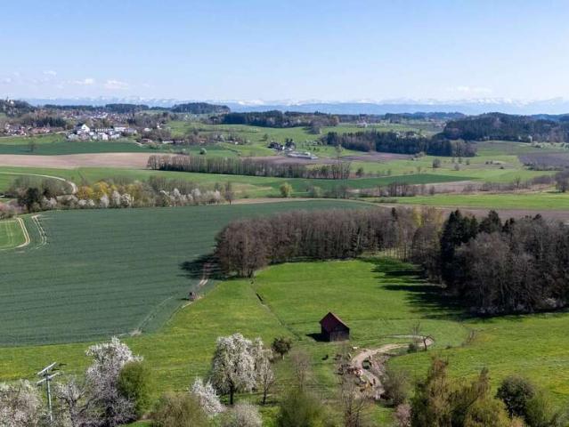 Haus zum Kaufen in Grünkraut 895.000,00 EUR 155 m²