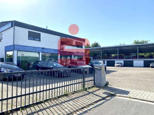 Haus zum Kaufen in Grünstadt 980.000,00 EUR 149 m²