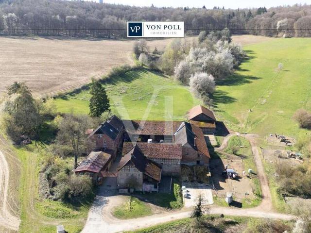 Haus zum Kaufen in Groß Umstadt Klein Umstadt 990.000,00 EUR 340 m²