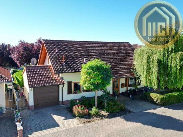 Haus zum Kaufen in Gumbsheim 419.000,00 EUR 137 m²