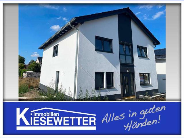 Haus zum Kaufen in Gundersheim 499.000,00 EUR 270 m²