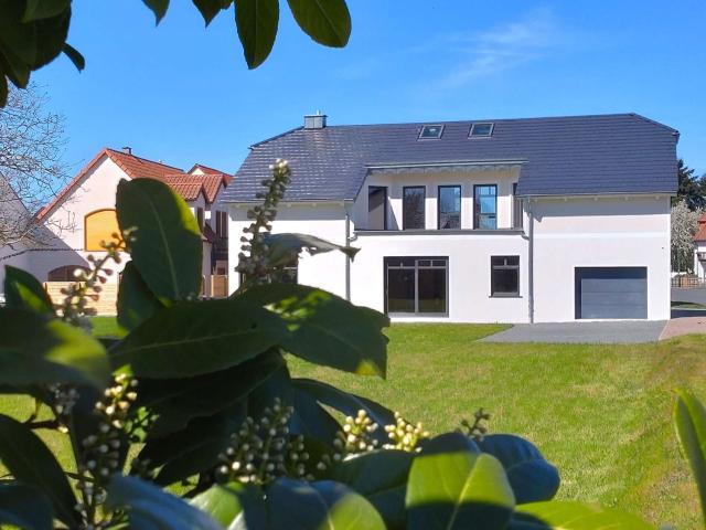Haus zum Kaufen in Doberschütz 325.000,00 EUR 250 m²