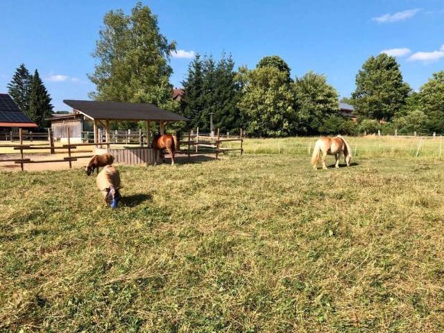 Haus zum Kaufen in Donaueschingen 1.100.000,00 EUR 400 m²