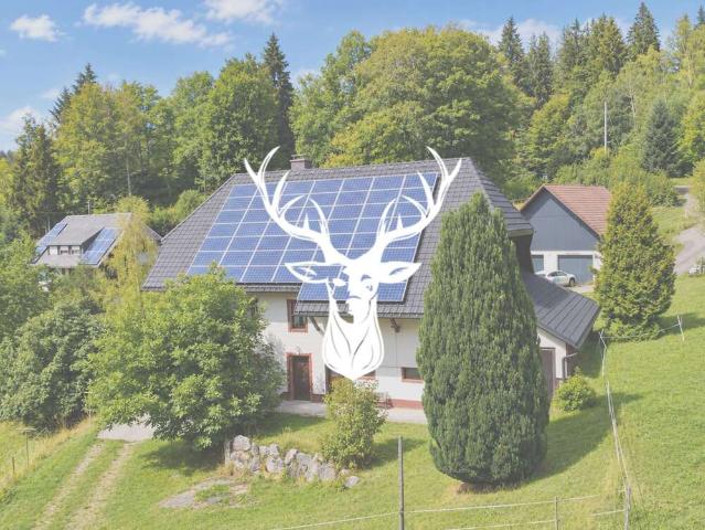 Haus zum Kaufen in Dachsberg 499.000,00 EUR 150 m²