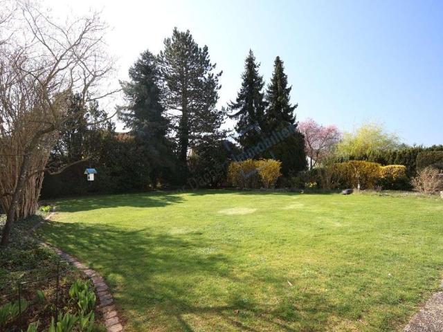 Haus zum Kaufen in Darmstadt 895.000,00 EUR 237.88 m²