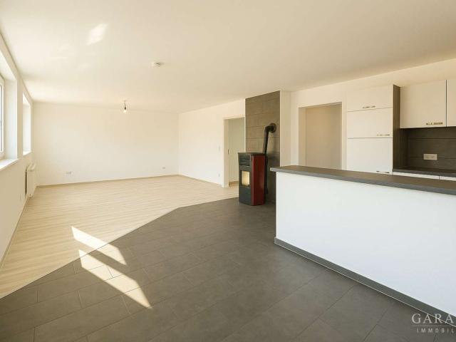 Haus zum Kaufen in Dillingen a.d. Donau 599.000,00 EUR 222 m²