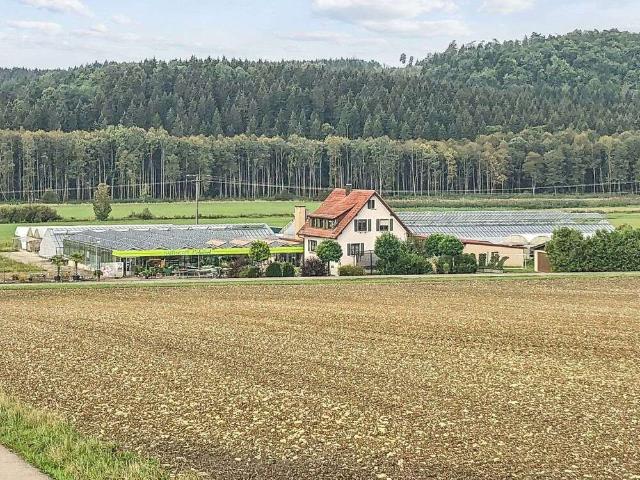Haus zum Kaufen in Dischingen 650.000,00 EUR 130 m²
