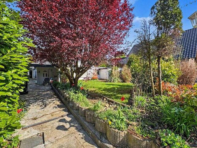 Haus zum Kaufen in Düren 345.000,00 EUR 280.14 m²