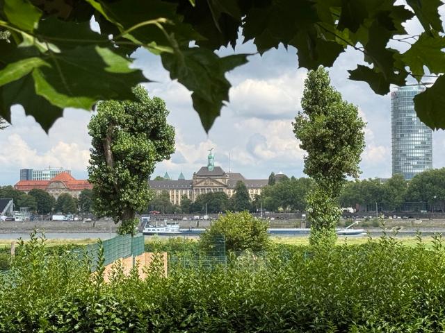 Haus zum Kaufen in Düsseldorf 5.300.000,00 EUR 565 m²