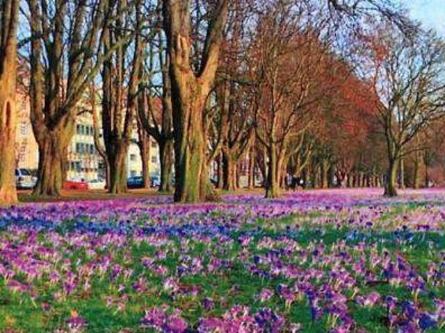 Haus zum Kaufen in Düsseldorf 9.800.000,00 EUR 840 m²