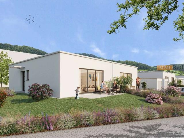 Haus zum Kaufen in Emmingen Liptingen 289.000,00 EUR 72.03 m²