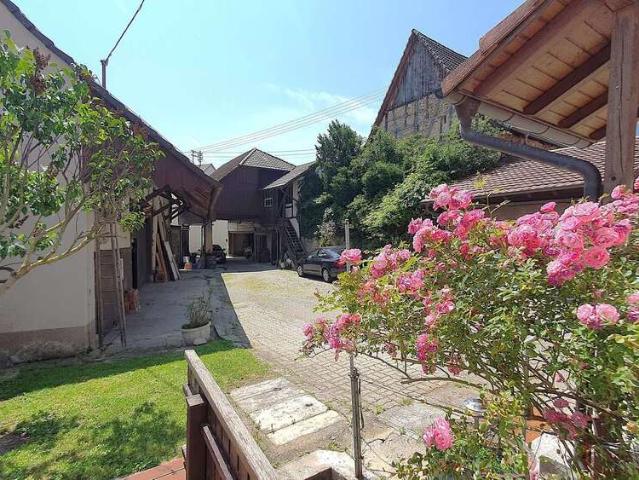 Haus zum Kaufen in Efringen Kirchen 675.000,00 EUR 217.85 m²