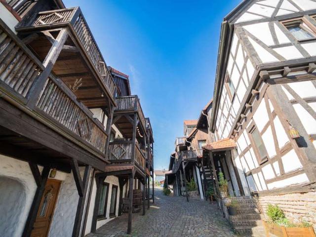 Haus zum Kaufen in Eltville Rauenthal 2.990.000,00 EUR 1357 m²