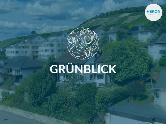 Haus zum Kaufen in Erlenbach 540.000,00 EUR 160.31 m²