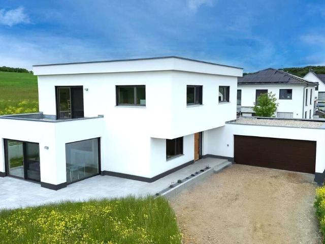 Haus zum Kaufen in Erlenbach 690.000,00 EUR 179 m²