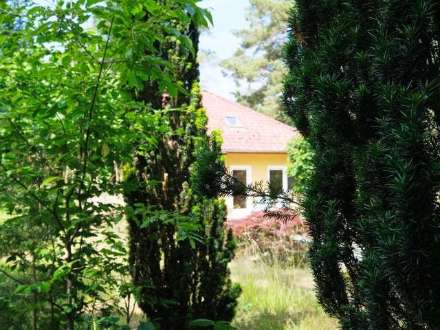 Haus zum Kaufen in Falkensee Falkenhagen 649.000,00 EUR 154 m²