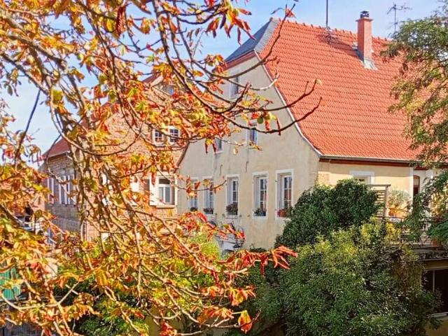 Haus zum Kaufen in Flonheim Rheinhessen 395.000,00 EUR 188 m²
