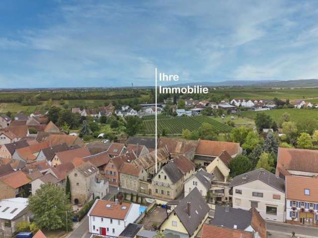 Haus zum Kaufen in Flörsheim Dalsheim 299.000,00 EUR 250 m²