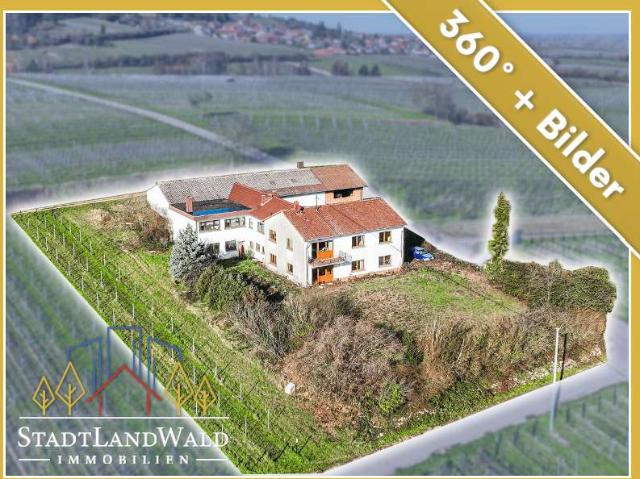 Haus zum Kaufen in Frankweiler 790.000,00 EUR 340 m²