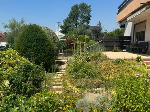 Haus zum Kaufen in Frankenthal 485.800,00 EUR 170 m²