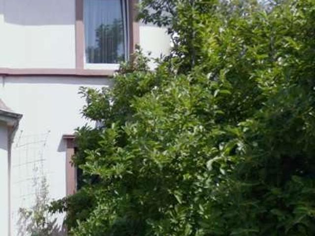 Haus zum Kaufen in Frankfurt am Main 1.020.000,00 EUR 350 m²