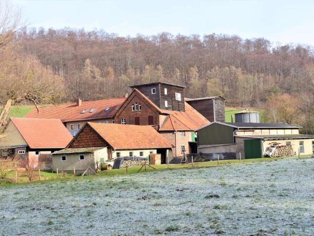 Haus zum Kaufen in Freden 395.000,00 EUR 298 m²