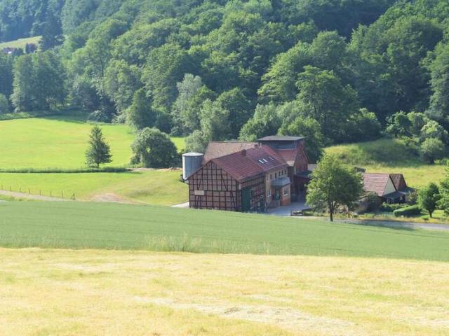 Haus zum Kaufen in Freden 449.000,00 EUR 298 m²