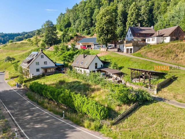 Haus zum Kaufen in Freiamt 649.000,00 EUR 272 m²