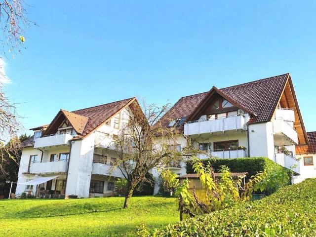Haus zum Kaufen in Freiburg 2.990.000,00 EUR 558 m²