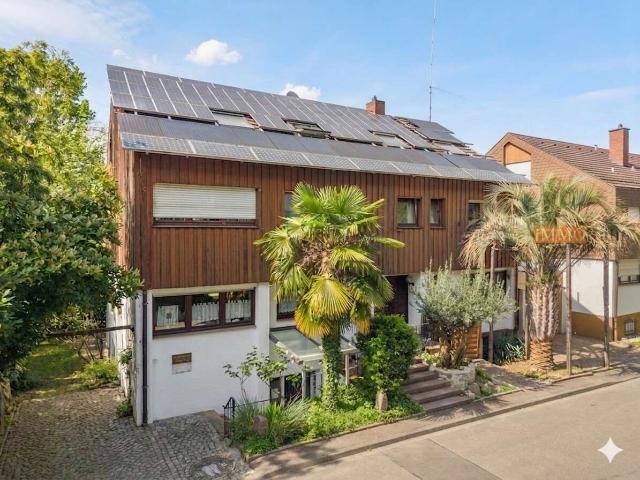 Haus zum Kaufen in Freiburg im Breisgau 1.550.000,00 EUR 491.3 m²