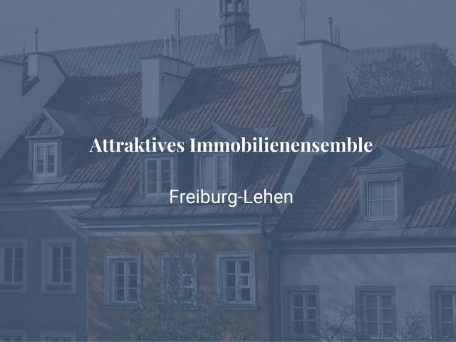 Haus zum Kaufen in Freiburg im Breisgau 1.300.000,00 EUR 444 m²