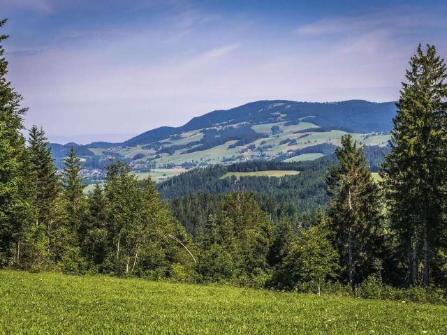 Haus zum Kaufen in Freiburg im Breisgau 4.000.000,00 EUR 400 m²