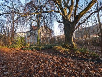 Haus zum Kaufen in Freital 539.000,00 EUR 419 m²