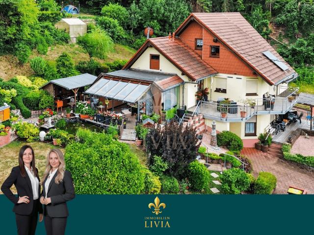 Haus zum Kaufen in Friedrichsthal 525.000,00 EUR 225 m²