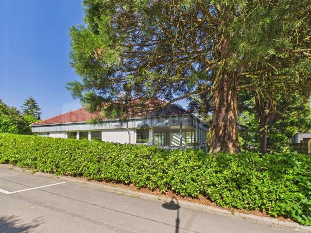 Haus zum Kaufen in Konstanz 1.499.000,00 EUR 368 m²