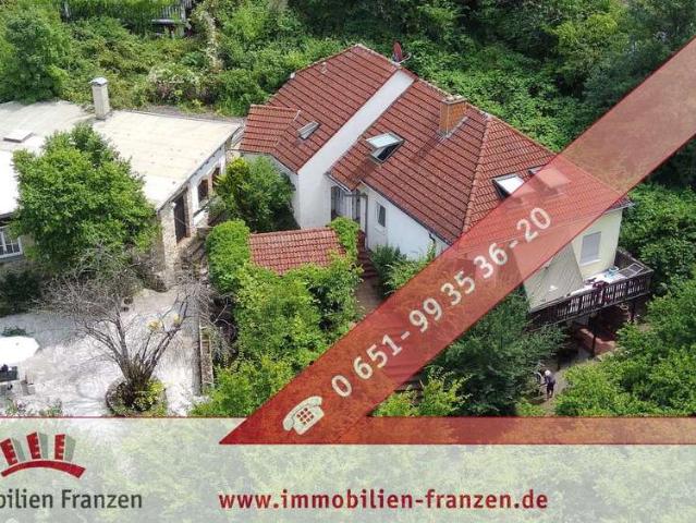 Haus zum Kaufen in Konz 1.250.000,00 EUR 604.2 m²