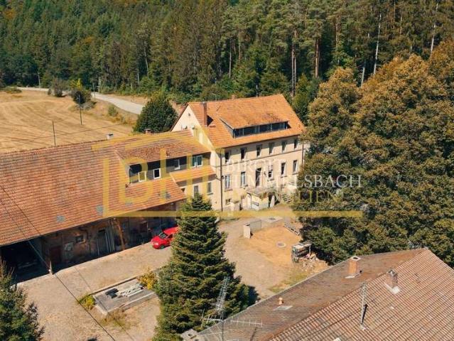 Haus zum Kaufen in Kaiserslautern 940.000,00 EUR 1405 m²