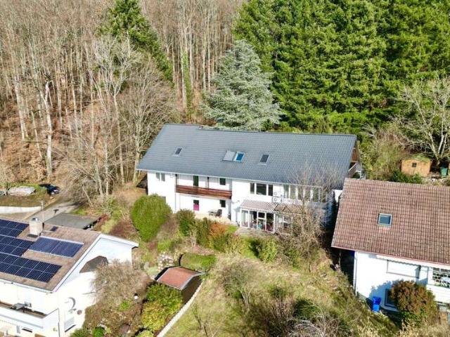 Haus zum Kaufen in Kandern 1.150.000,00 EUR 519 m²