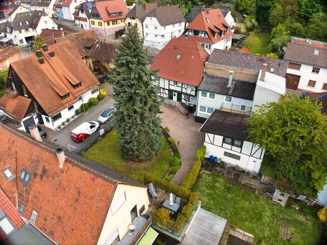 Haus zum Kaufen in Karlsruhe 695.000,00 EUR 196 m²